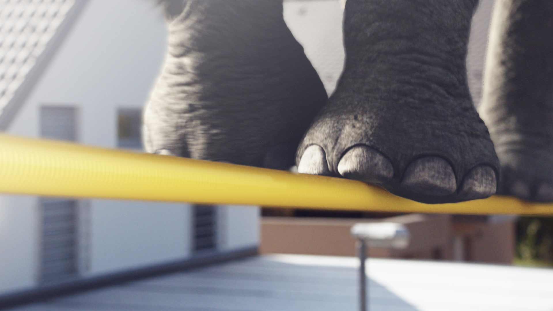 Kabel Elephant 01
