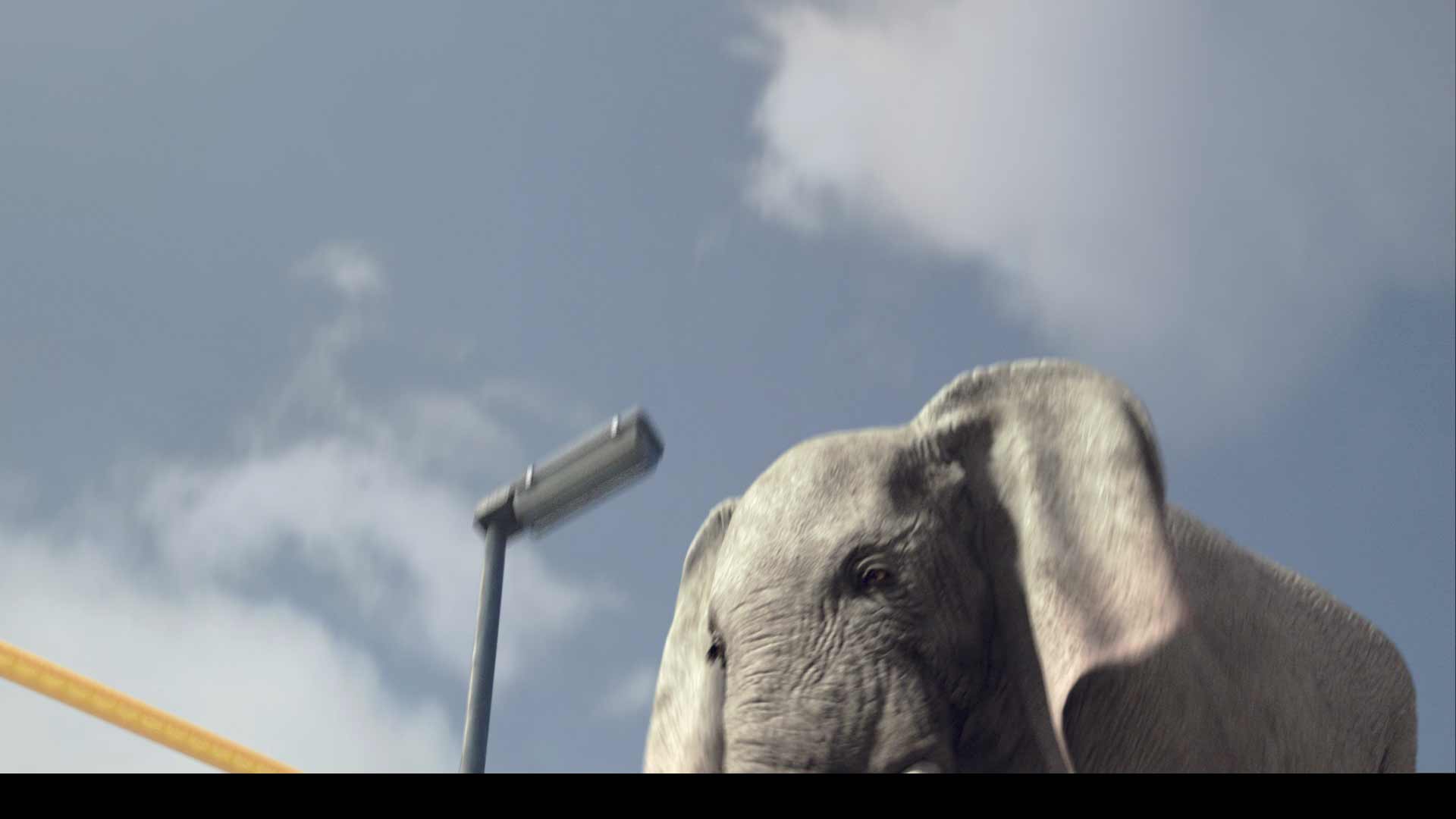 Kabel Elephant 5